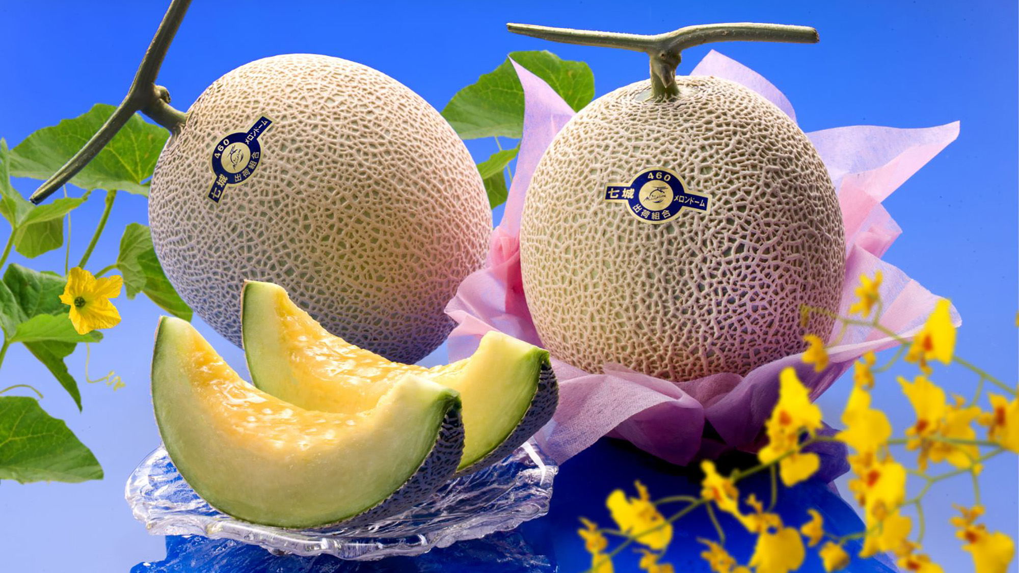 七城温泉ドーム 宿泊予約 楽天トラベル 七城温泉ドーム 宿泊予約 楽天トラベル