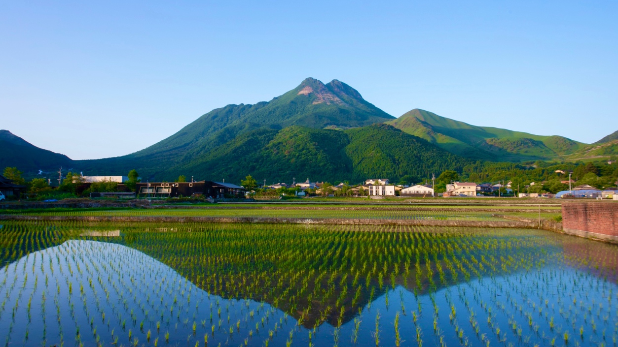 『夕食は街中で食べ歩きたい』〜時間の限り、贅を楽しむ〜 ◆一泊朝食プラン◆