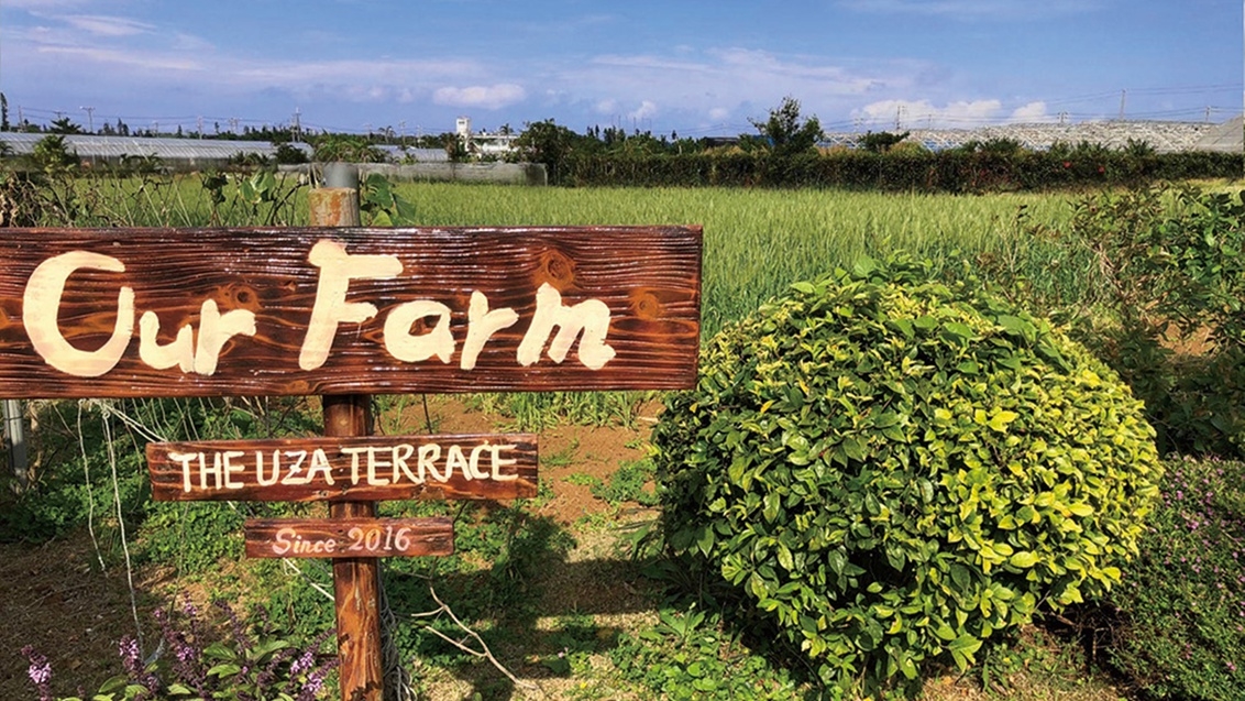 【3月宿泊限定】連泊・お子様の食育に〜収穫体験＆プールサイドバーベキュー ＜朝食付き＞