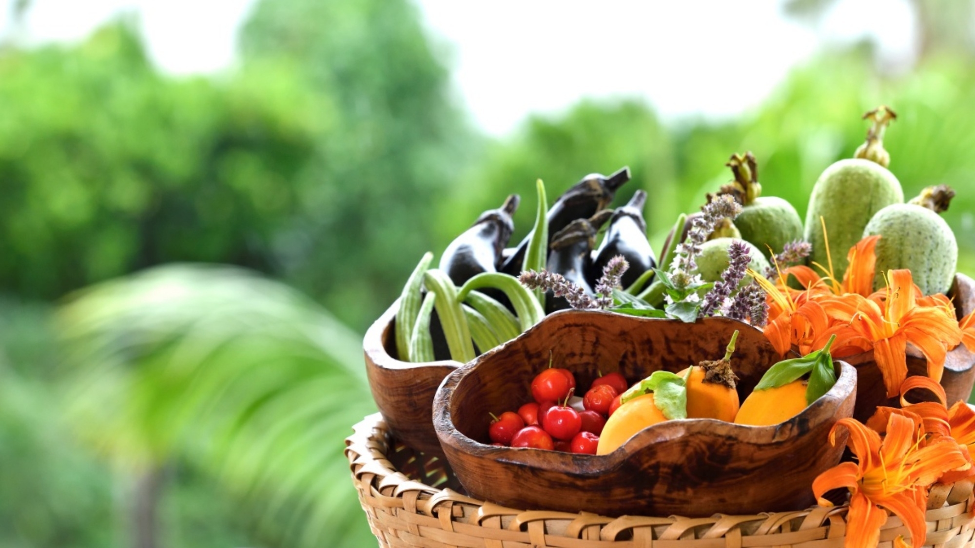 【シーズン限定・連泊／BBQ1回付】収穫体験＆プールサイドバーベキュー ＜朝食付き＞