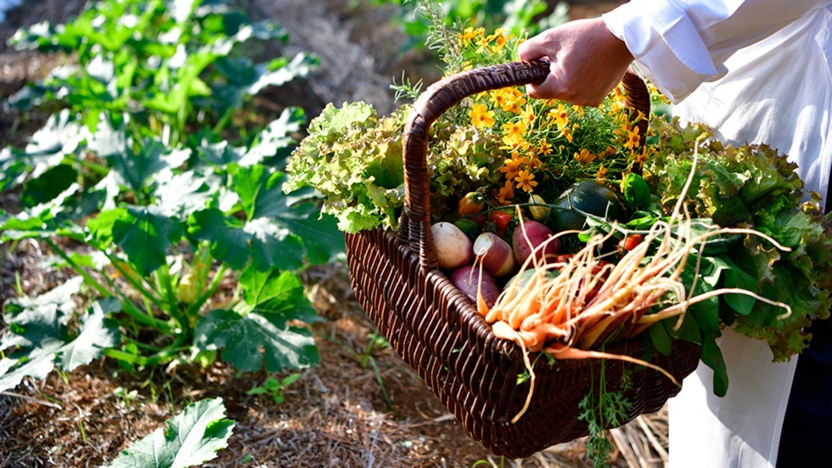 【A Culinary Journey／連泊】その一皿に出会う旅＜コースディナー１回・朝食付き＞