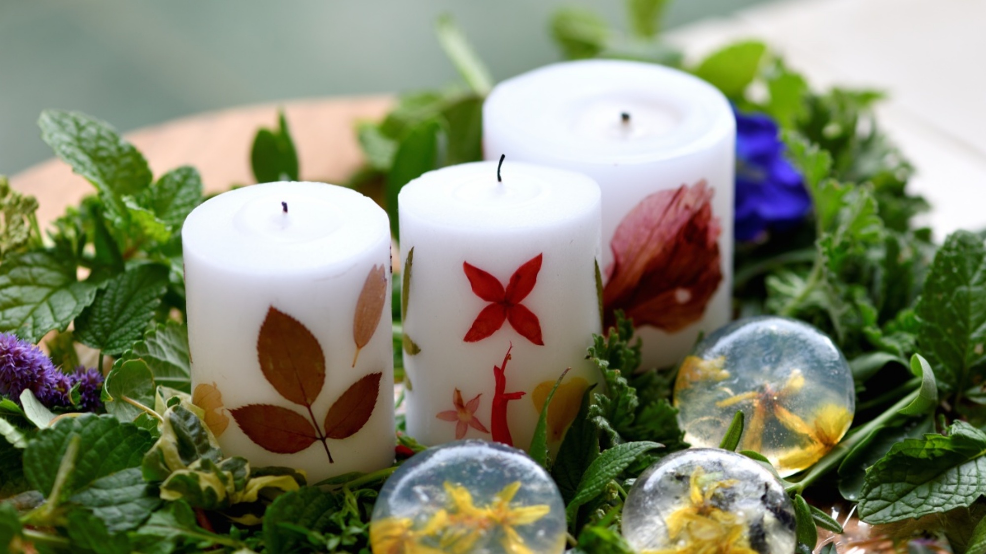 アクティビティプログラム／【予約制】OUR FARM クラフト体験