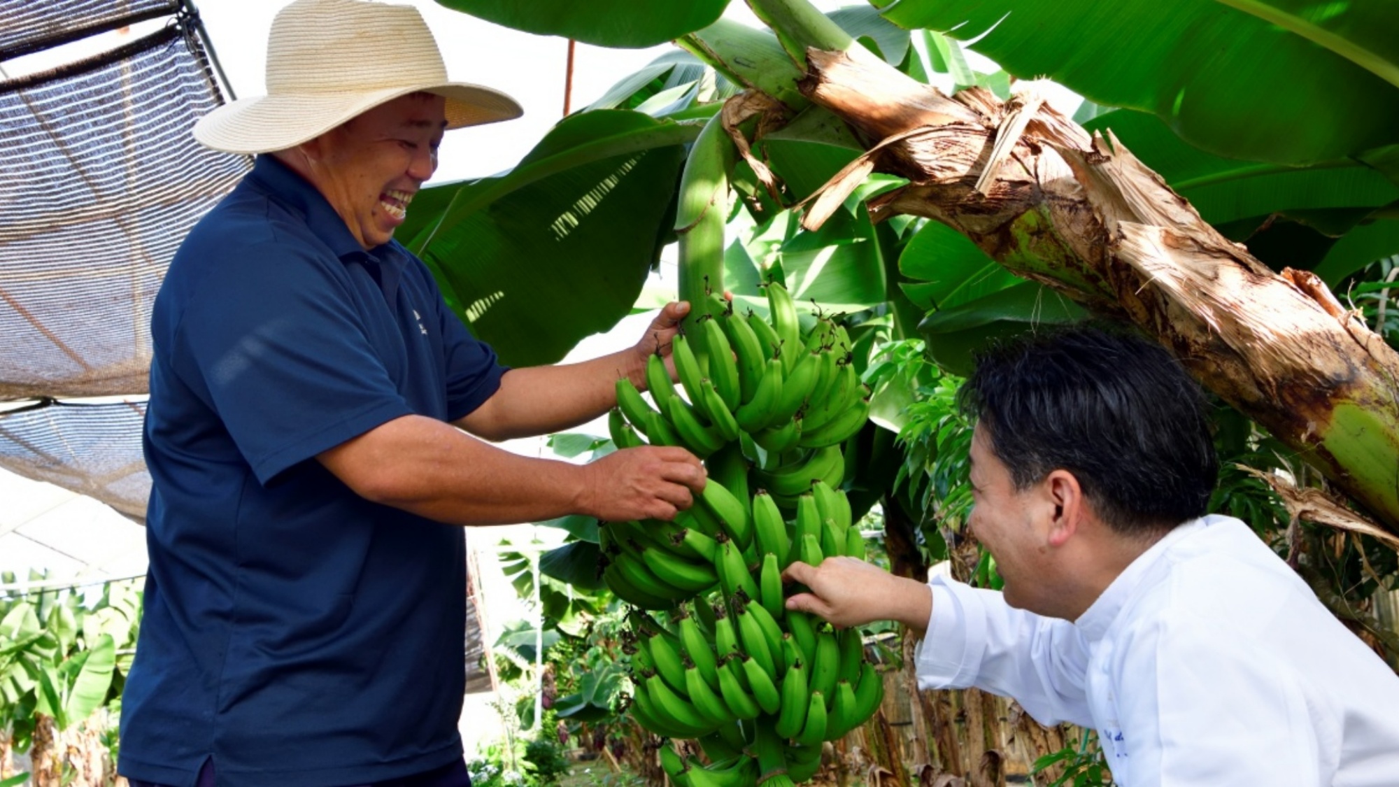 自家農園「OUR FARM」　自然の恵みをレストランでの食事やバー&ラウンジでのドリンクとしてご提供