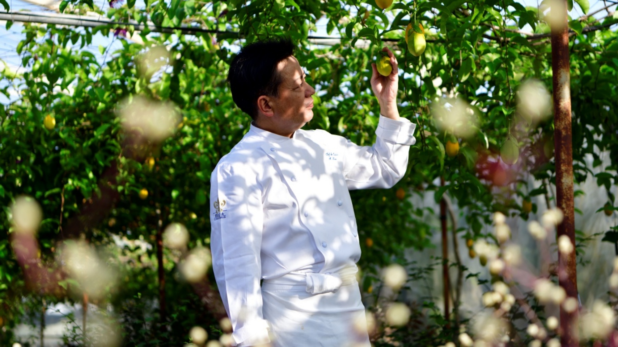 自家農園「OUR FARM」　野菜やハーブをシェフが自ら吟味し、極上の一品に仕立てます。