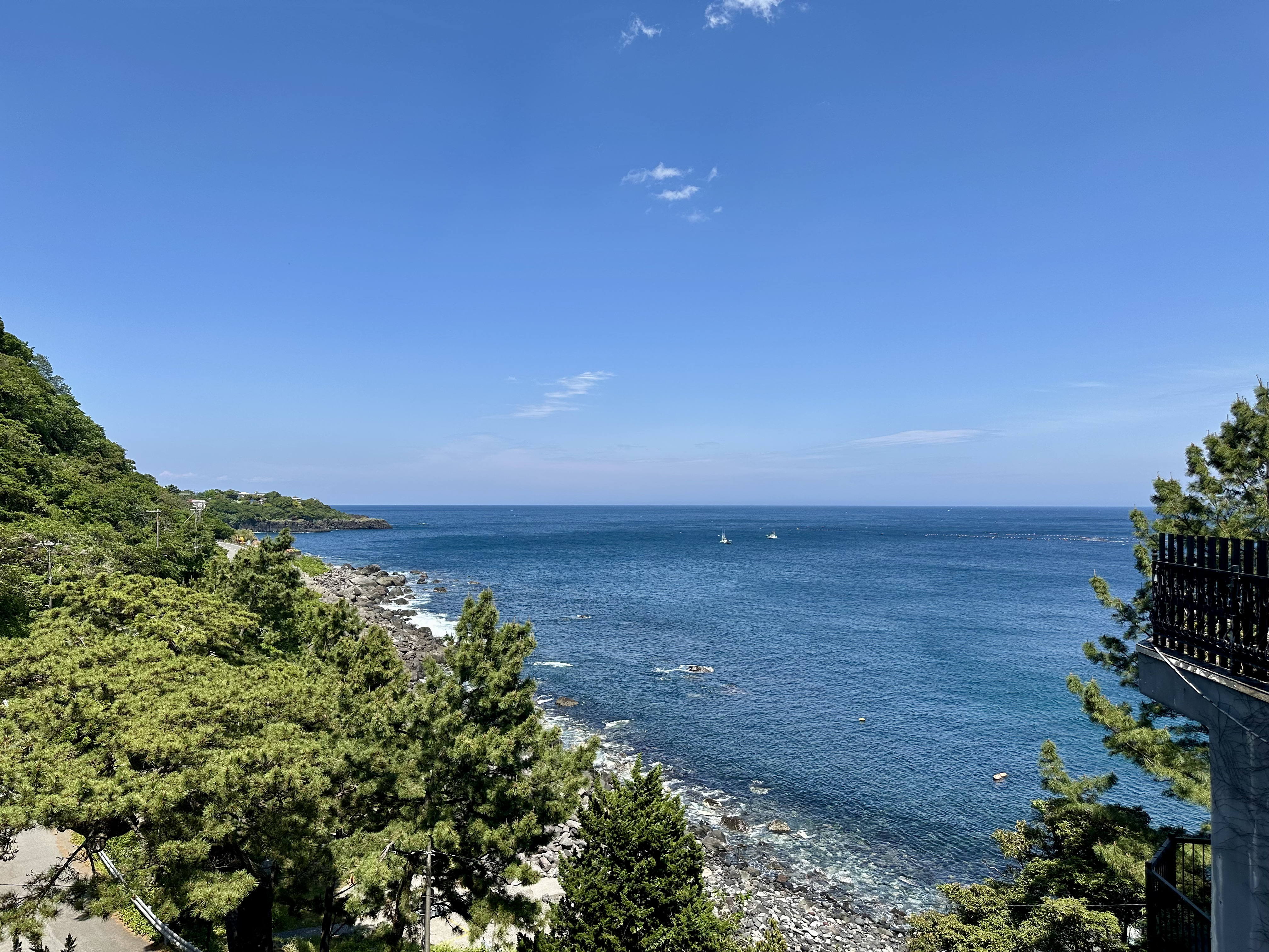 【ジュニアスイートルーム】客室からの眺望