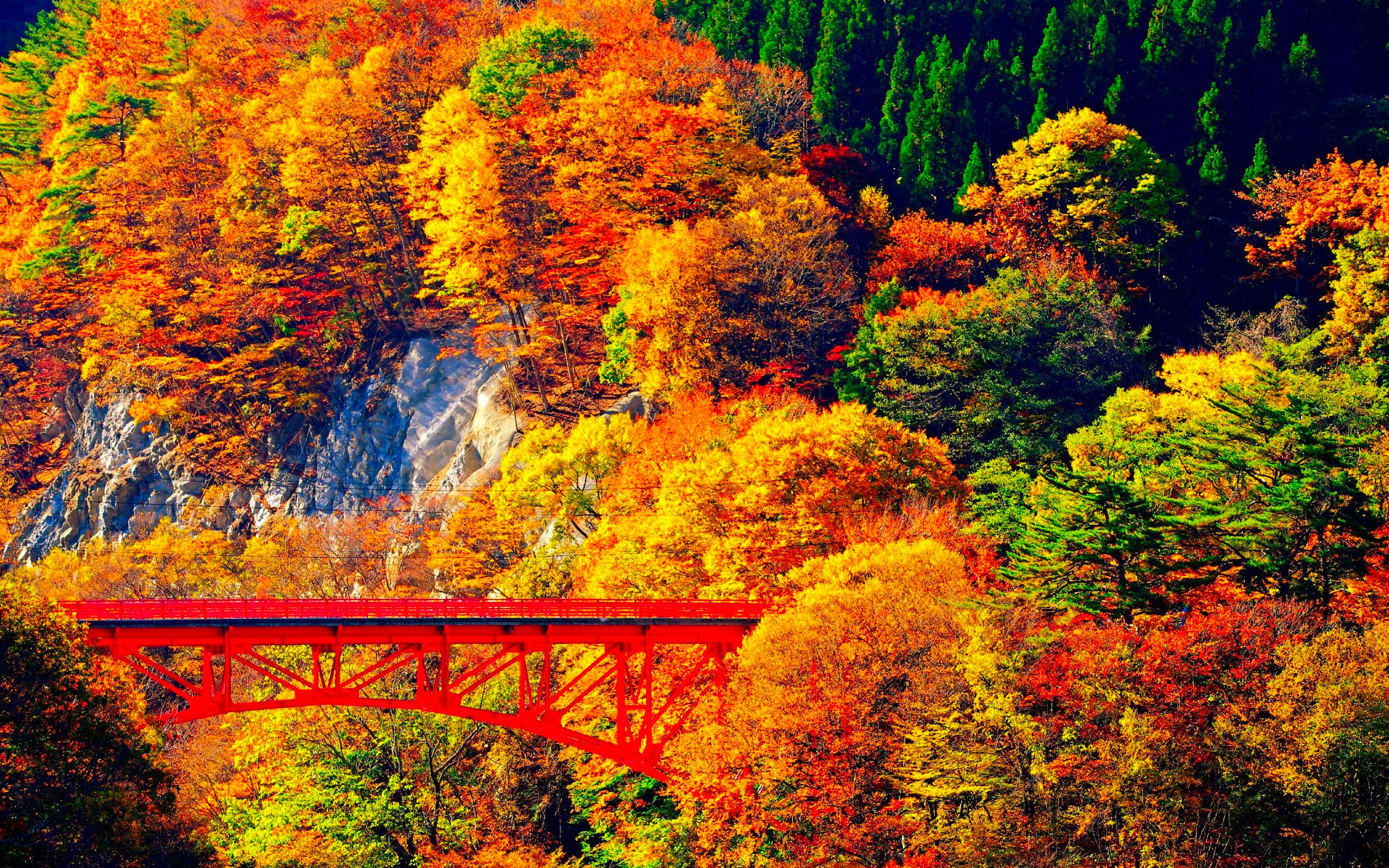 長野県の紅葉スポット第1位「松川渓谷」は山田温泉ゲートウェイ「高井橋」です