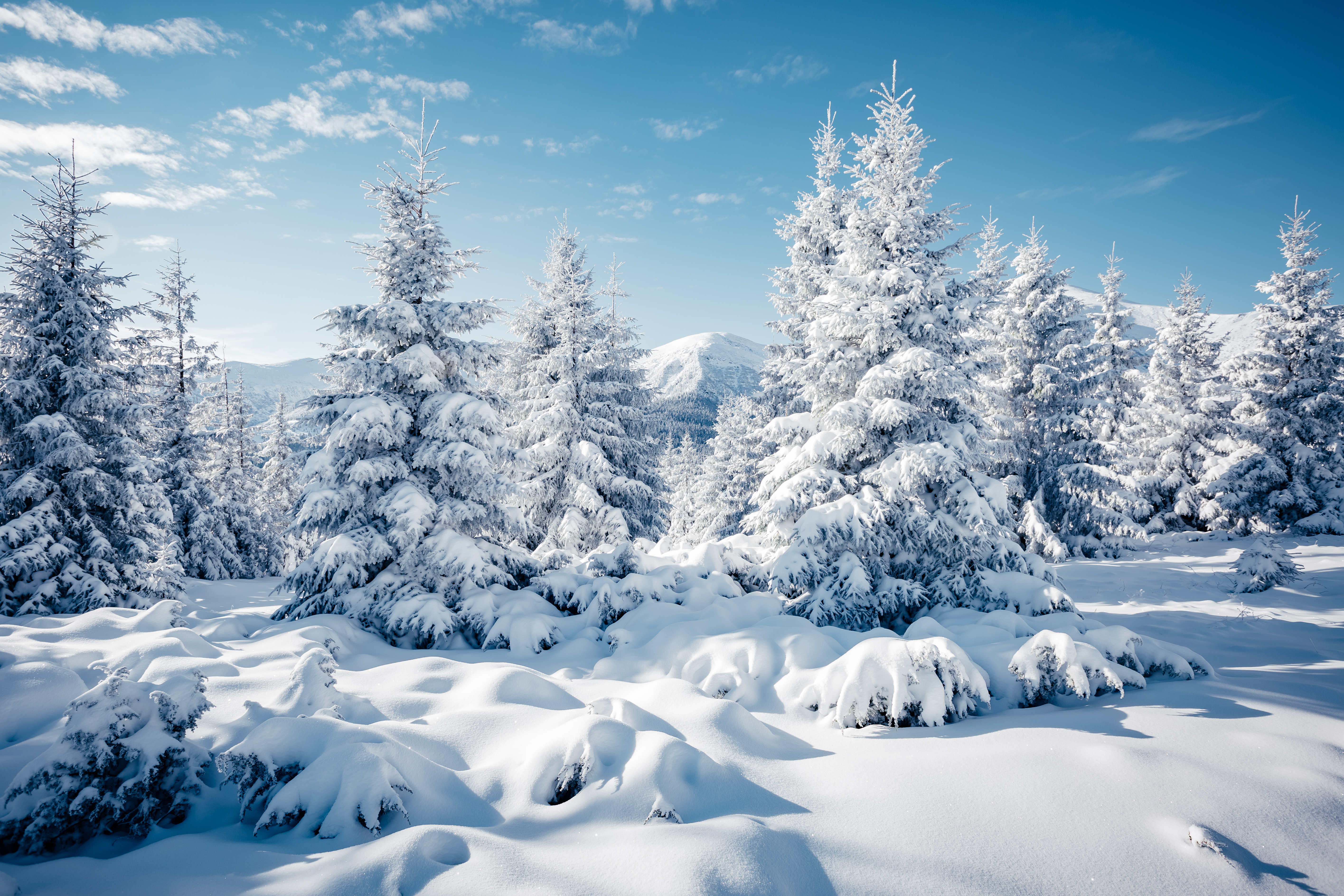 冬の雪景色