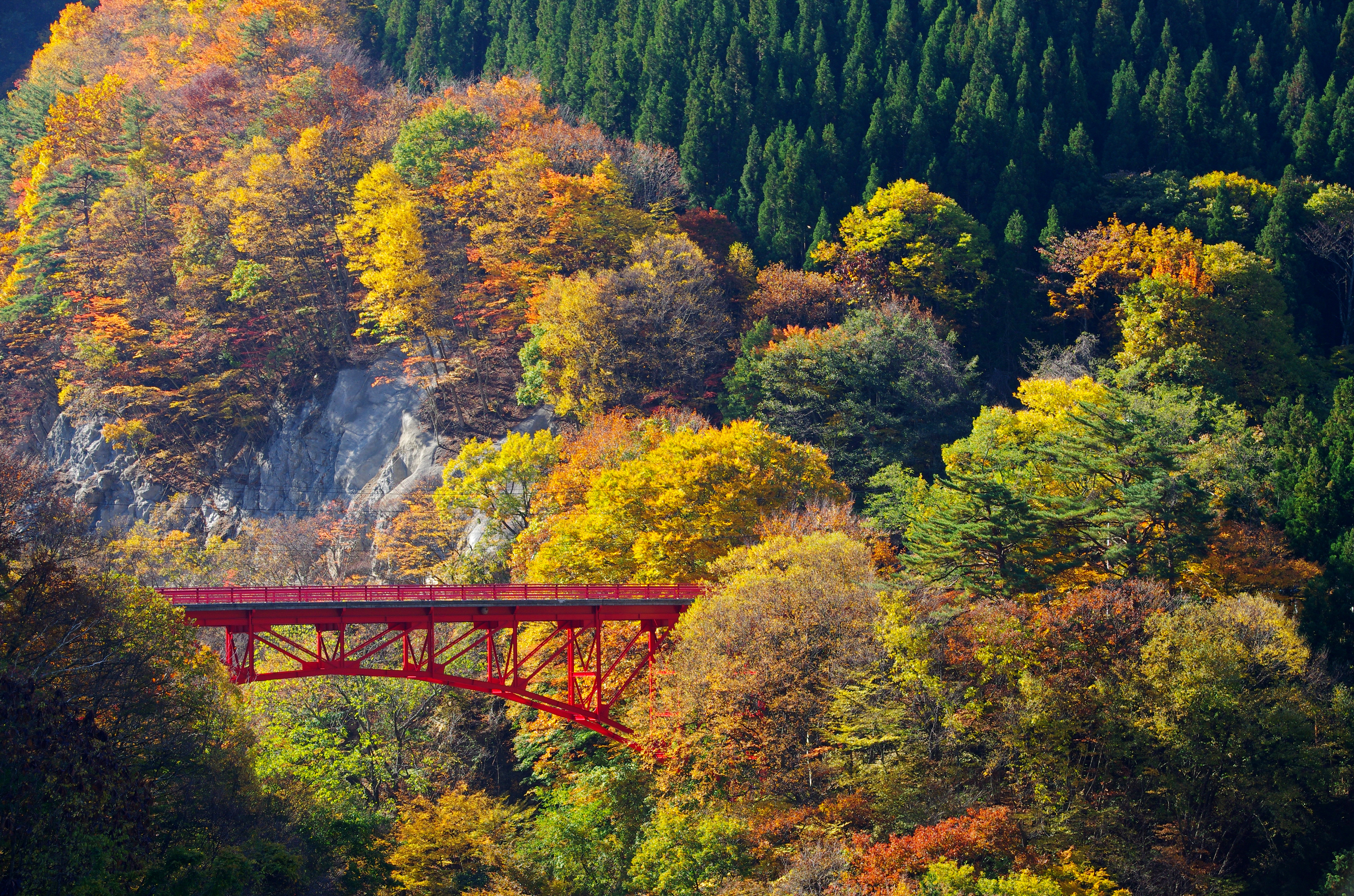 紅葉100選に選ばれた松川渓谷の紅葉