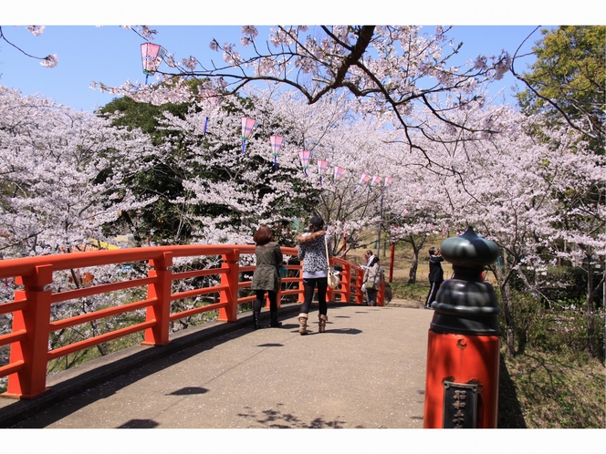 【水郷おみがわ桜つつじまつり】