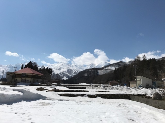 当館裏より望む北アルプス（冬～春）