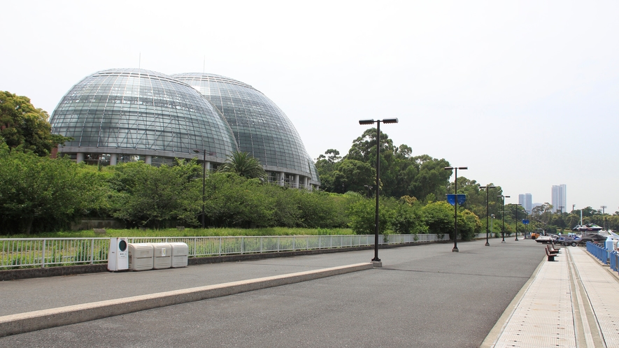 【観光】夢の島公園