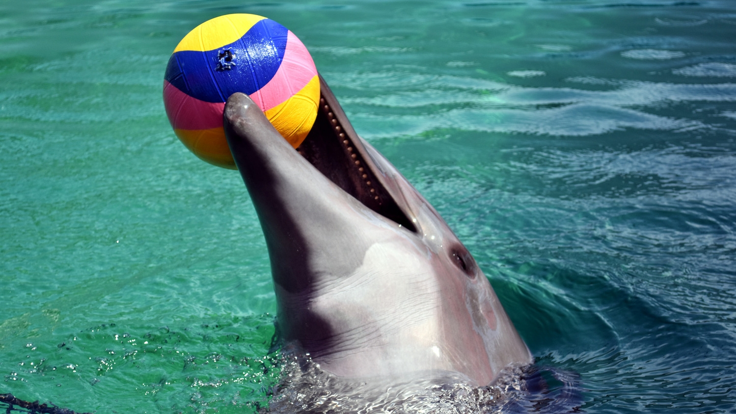 【連泊＆ECO素泊り】ビジネス・観光大歓迎♪お1人様500円引き！