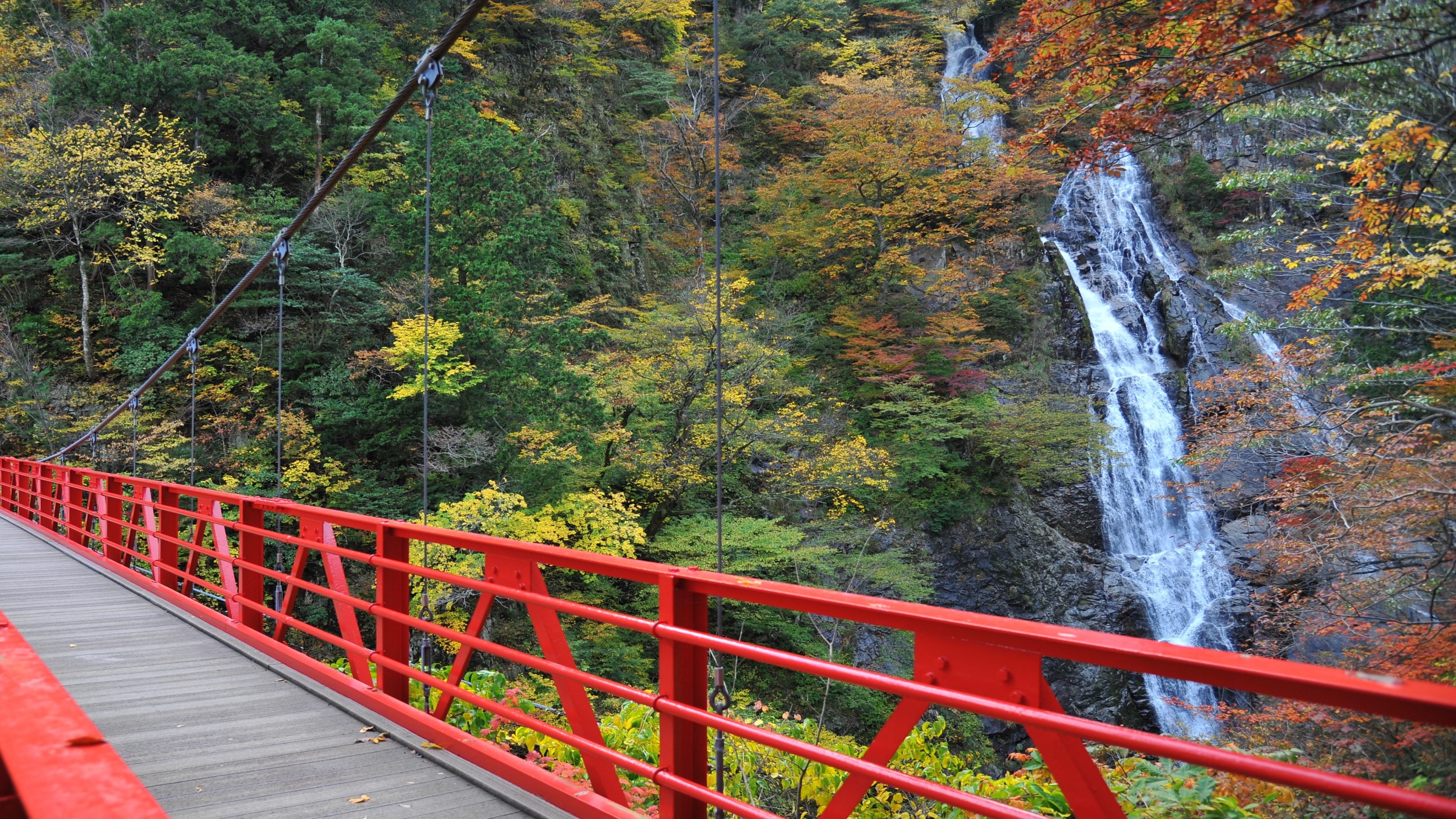 写真提供：鳥取県　三滝渓・つり橋と千丈滝