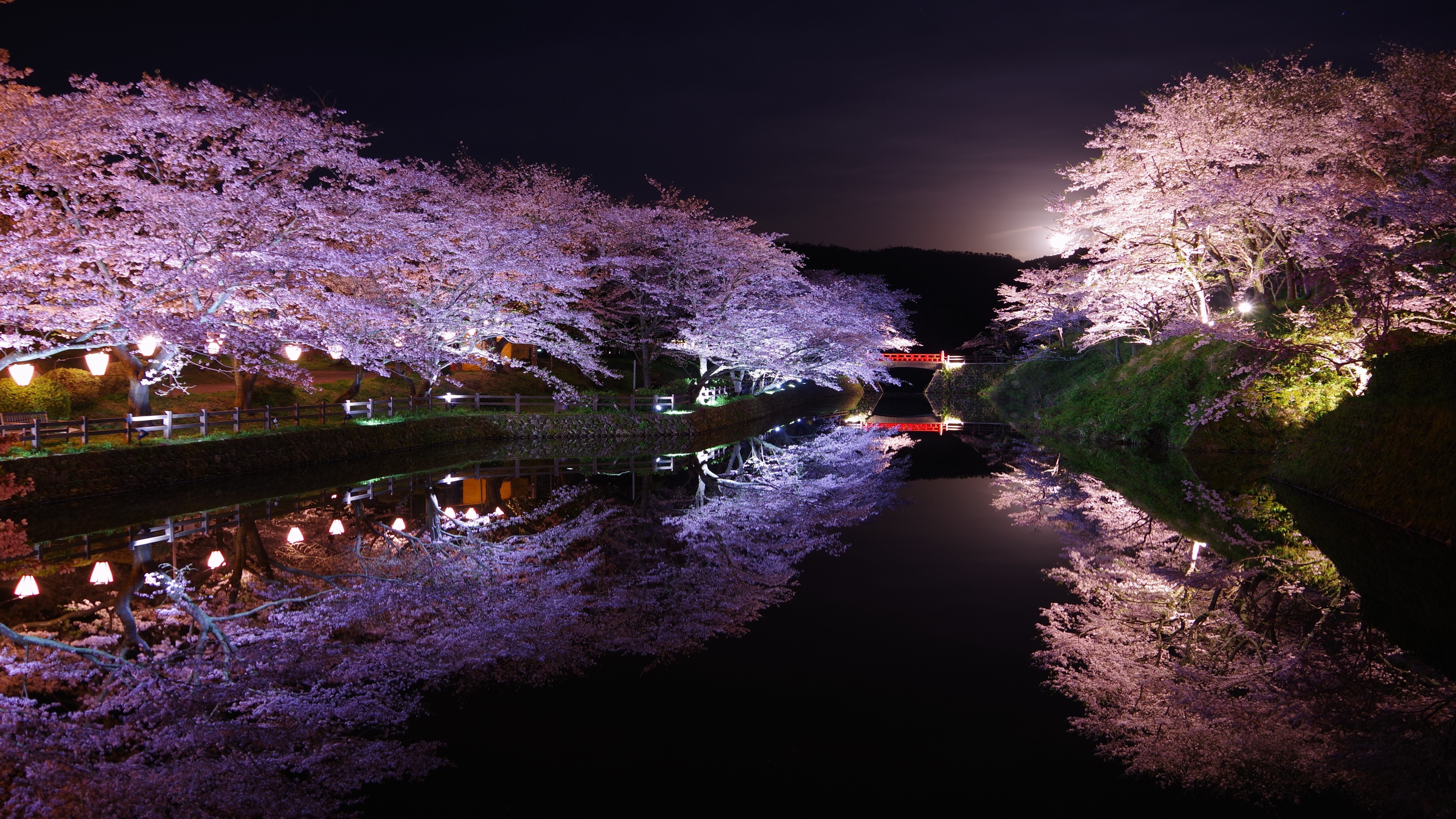 写真提供：鳥取県　鹿野城跡公園・夜桜