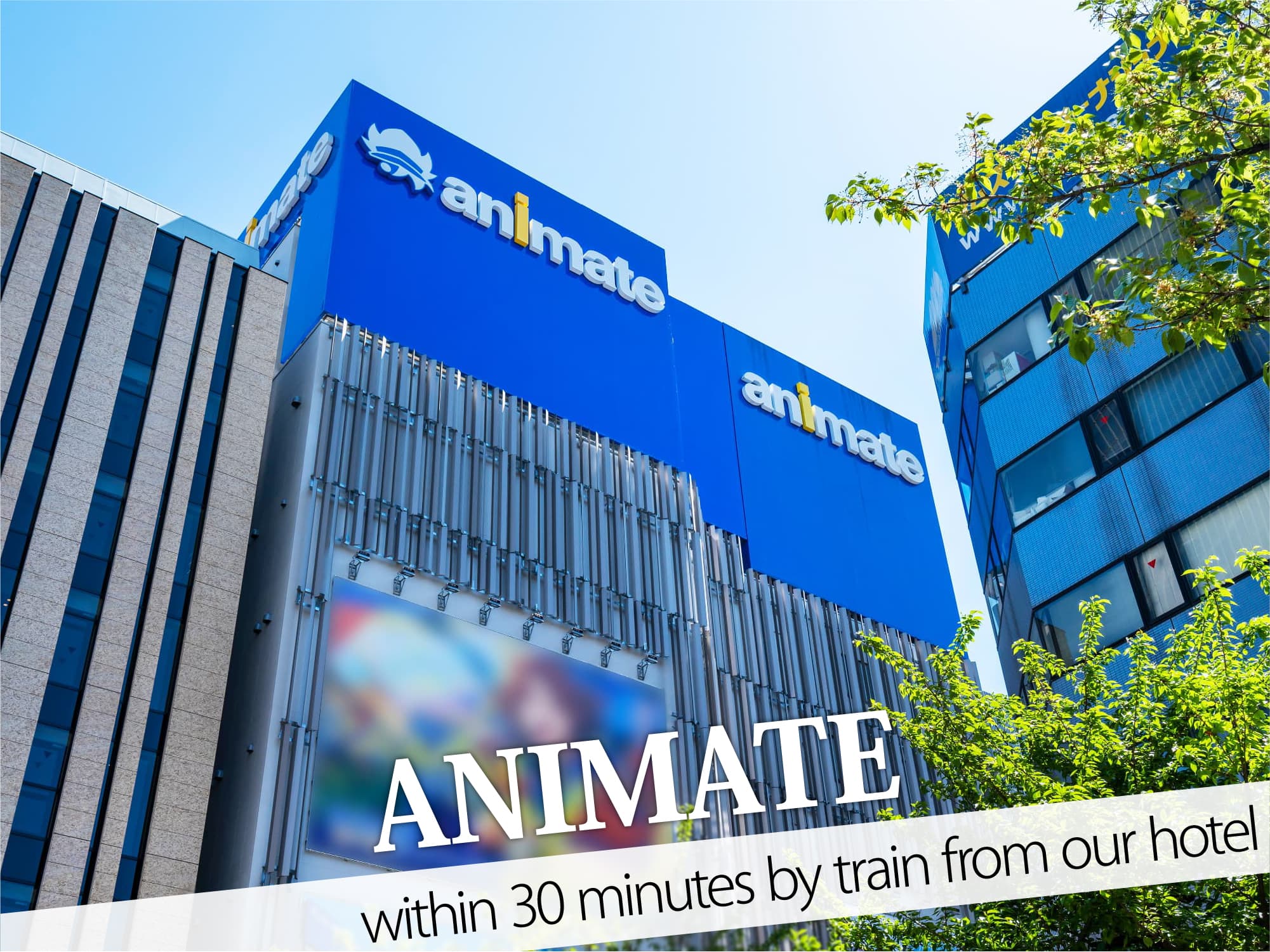 Animate（アニメイト）