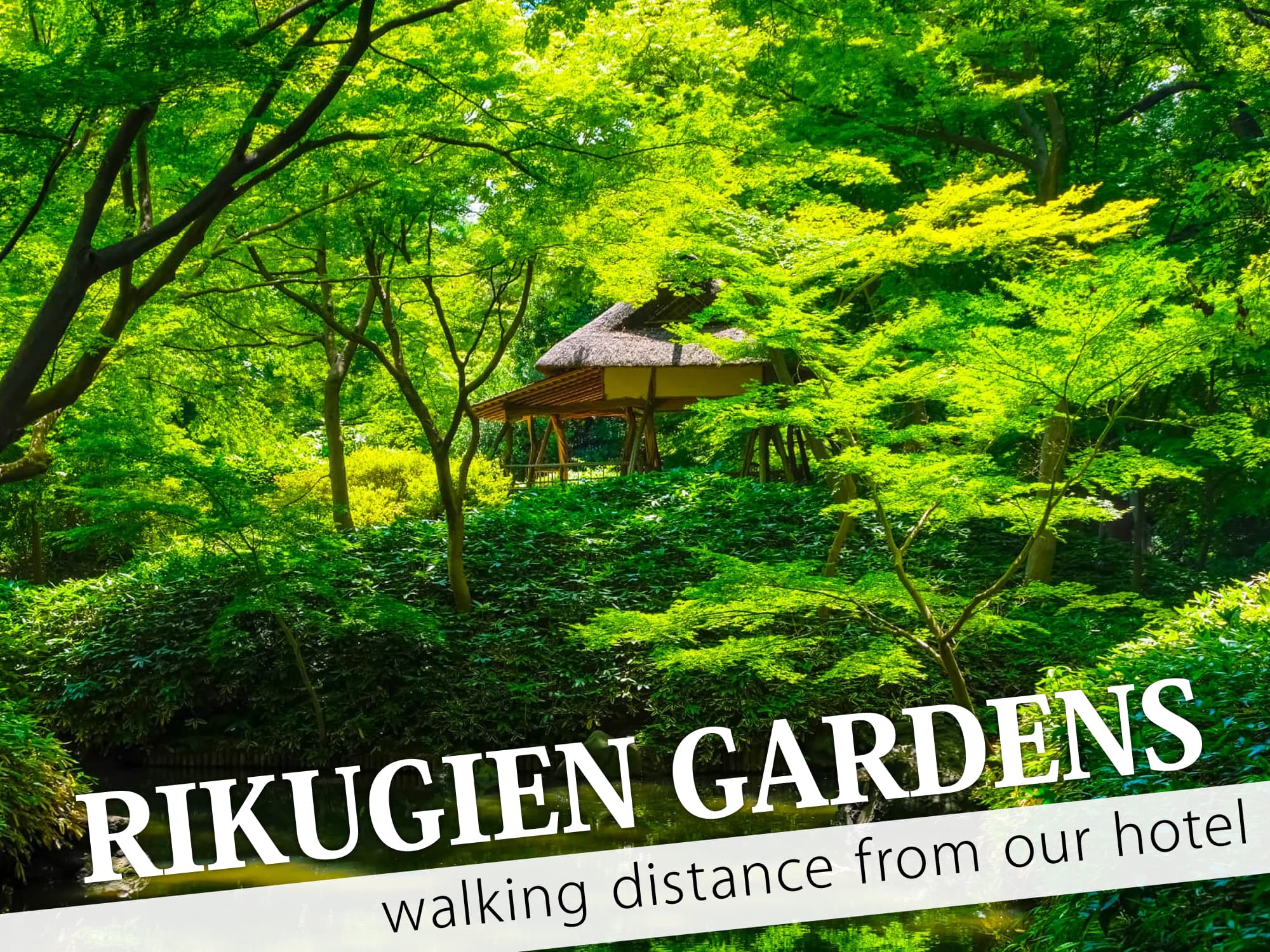 Rikugien Gardens（六義園）