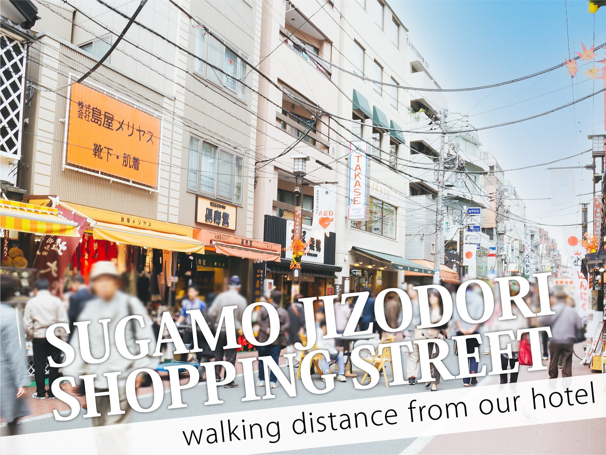Sugamo Jizodori Shopping Street（巣鴨地蔵通商店街）