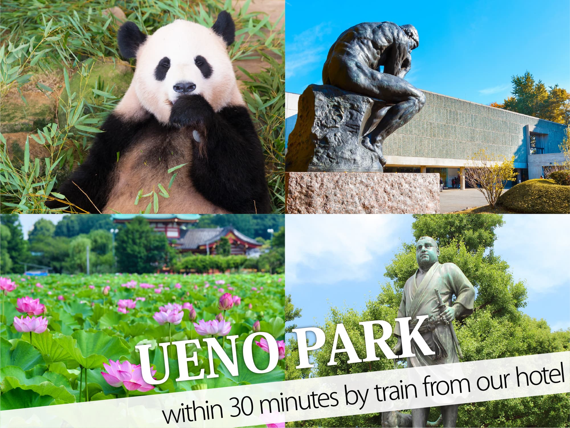 Ueno Park（上野公園）