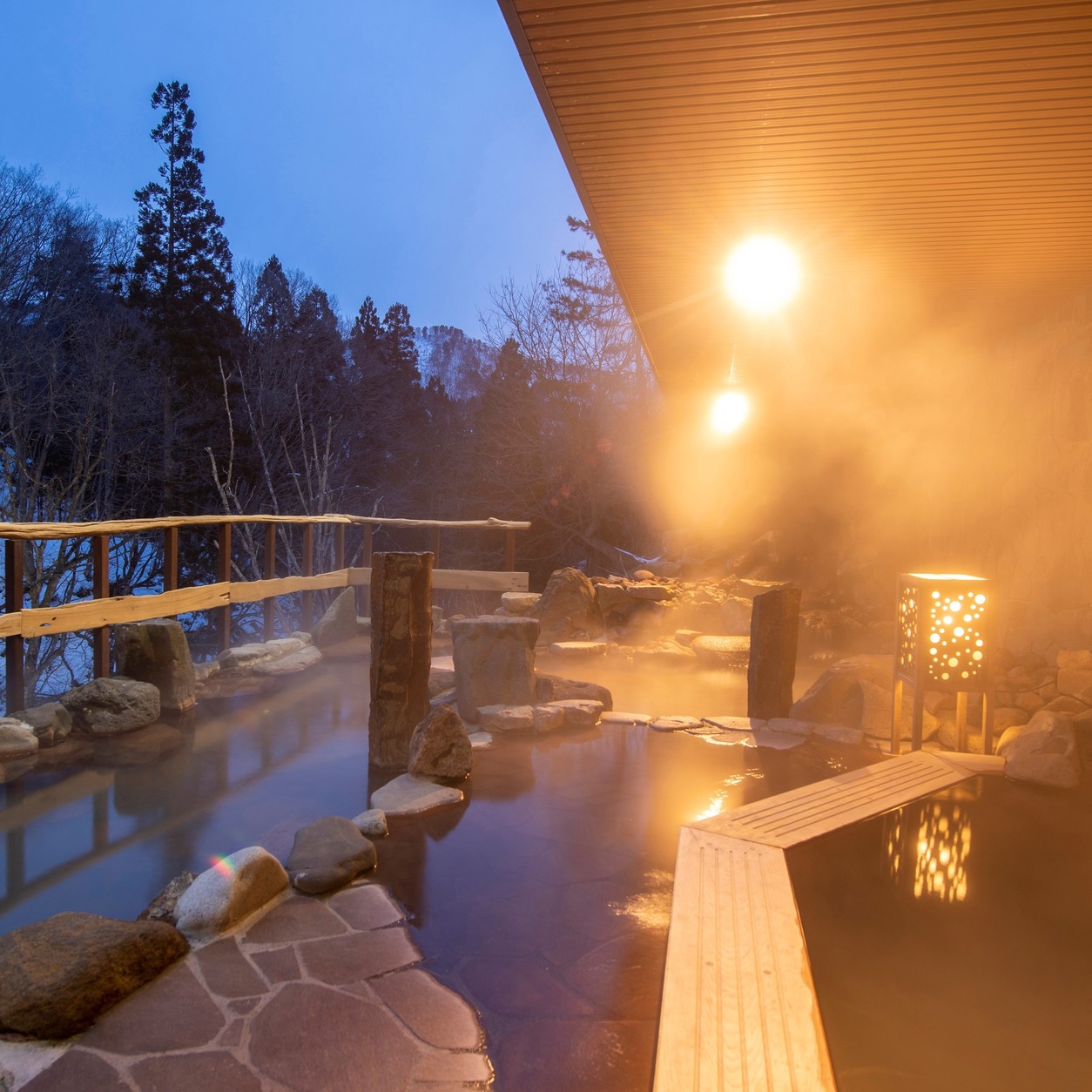 【タイムセール】新緑の秋ノ宮温泉郷へ☆チェックアウト10時の条件付きでお得にご宿泊♪