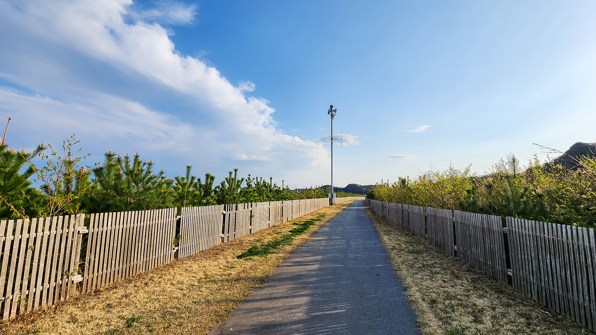 #周辺◆朝や夕方の散策コースに最適な遊歩道