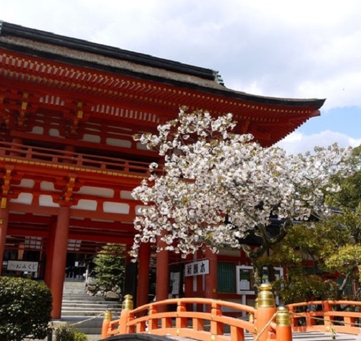 上賀茂神社