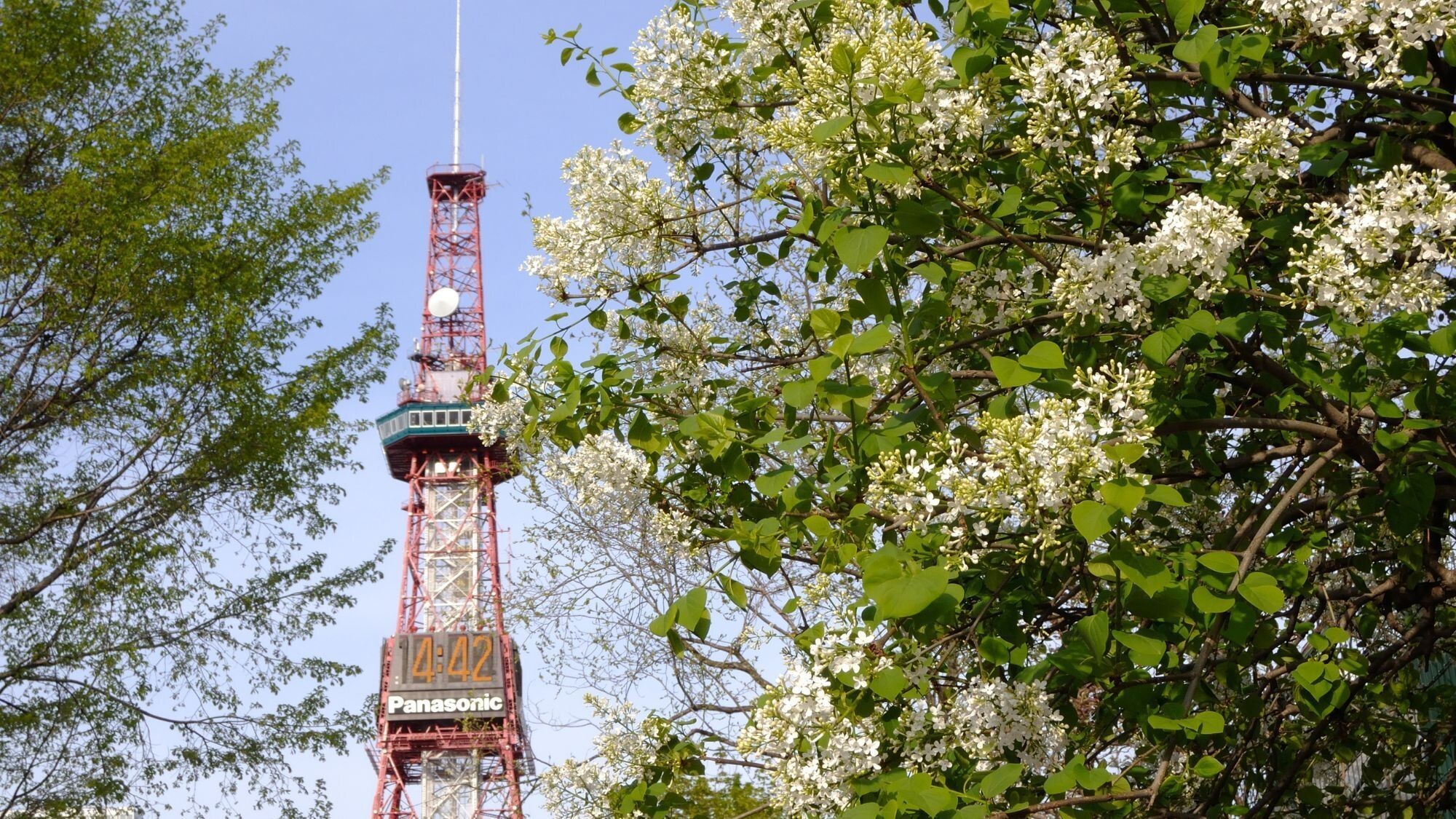 【観光画像】大通公園