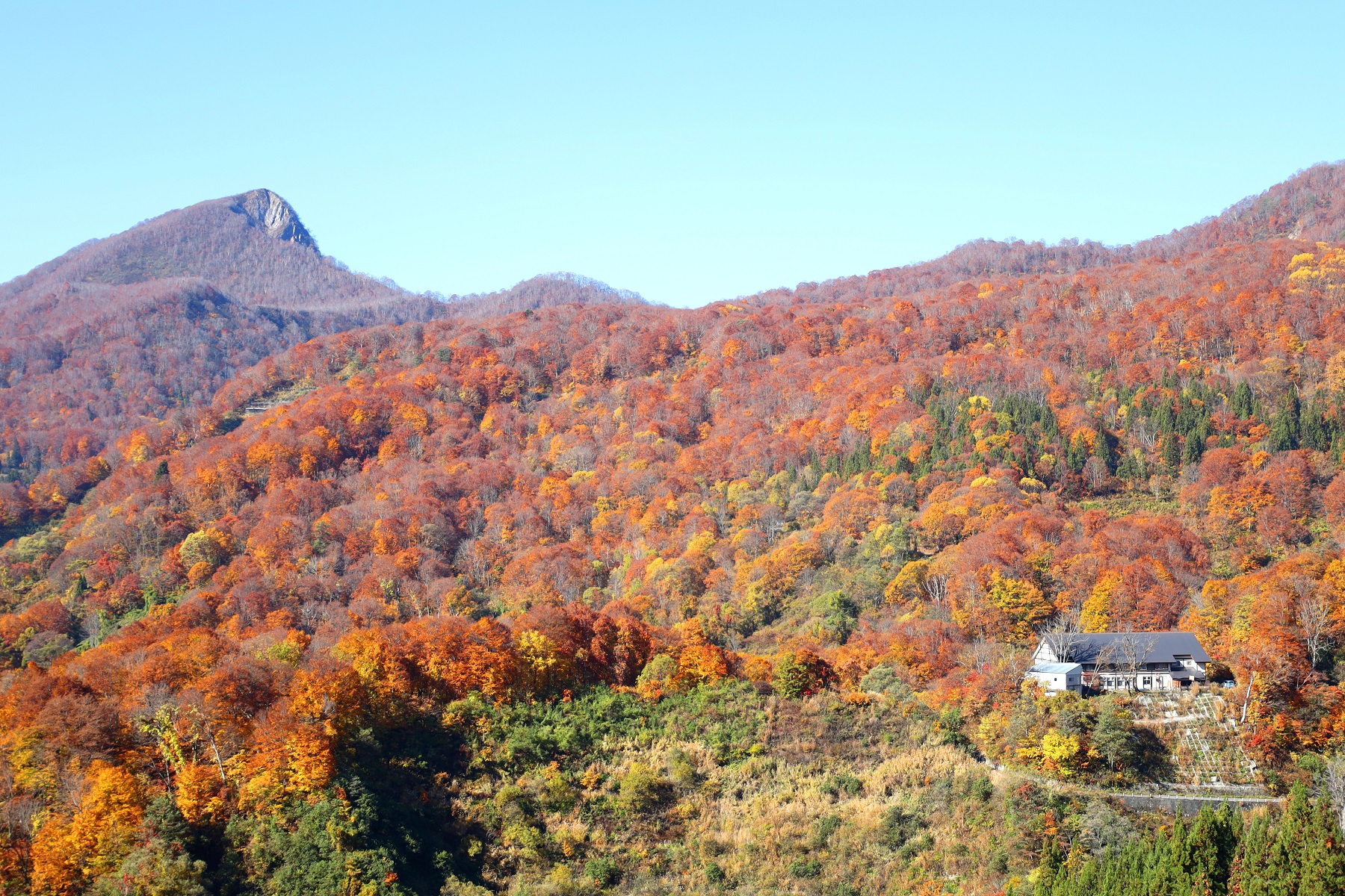 紅葉の大渚山と雨飾荘