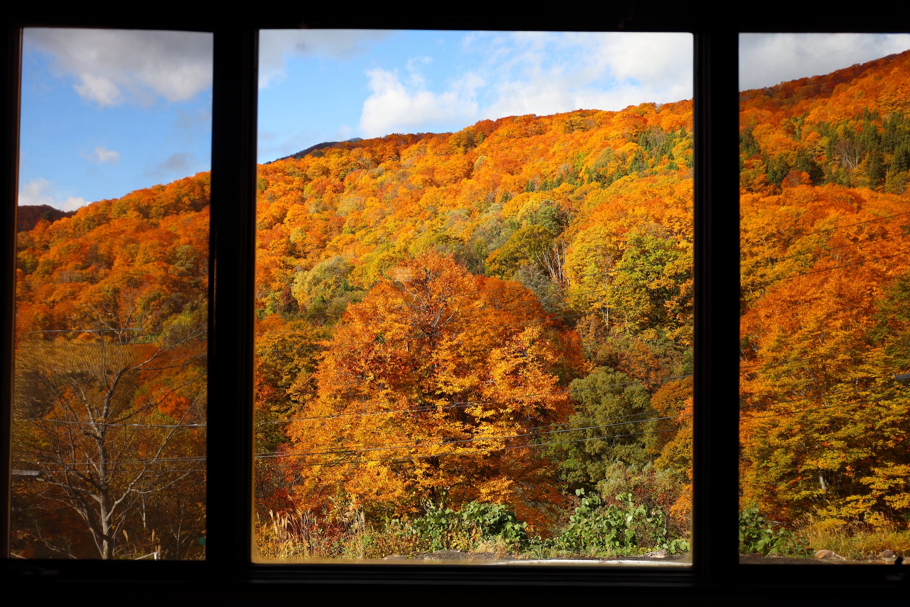 食堂からの紅葉