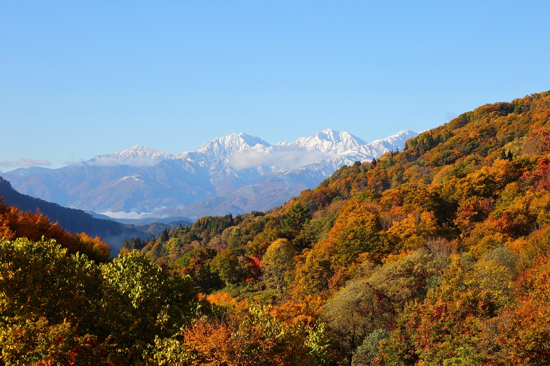 北アルプスの紅葉