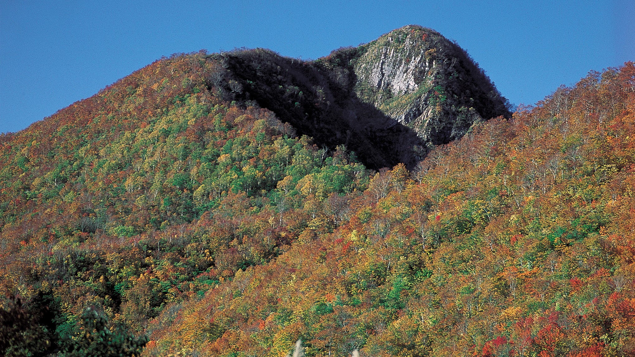 大渚山