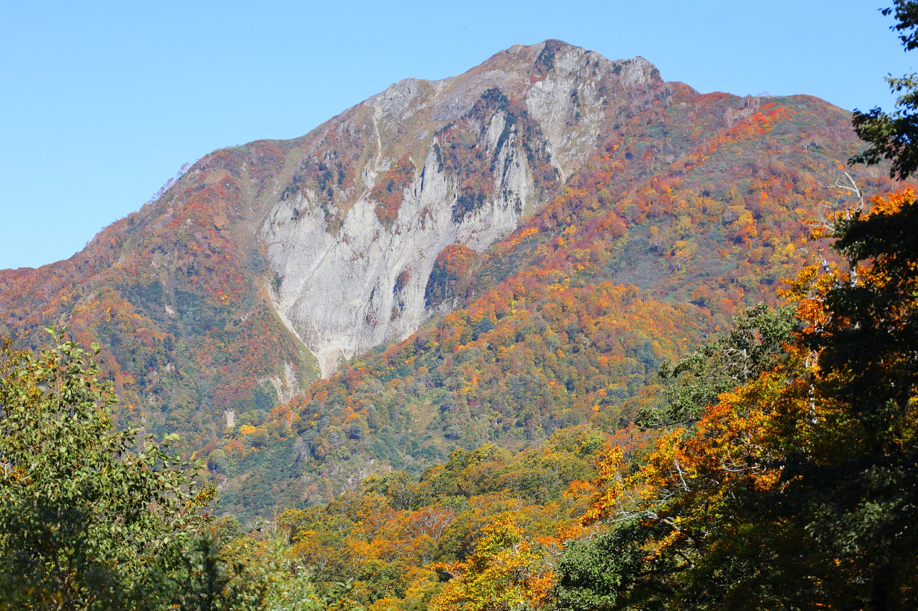 雨飾山の紅葉