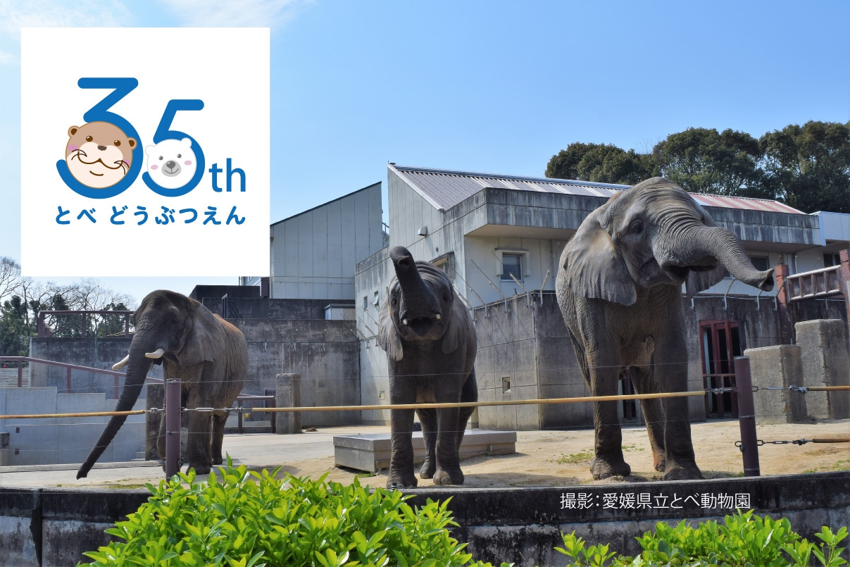 祝！とべ動物園開園35周年記念〜平日限定・古湧園遥に泊まって動物園に行こう〜朝食付プラン