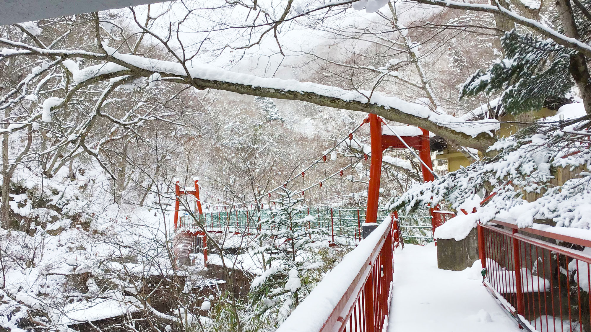 赤い吊り橋　冬