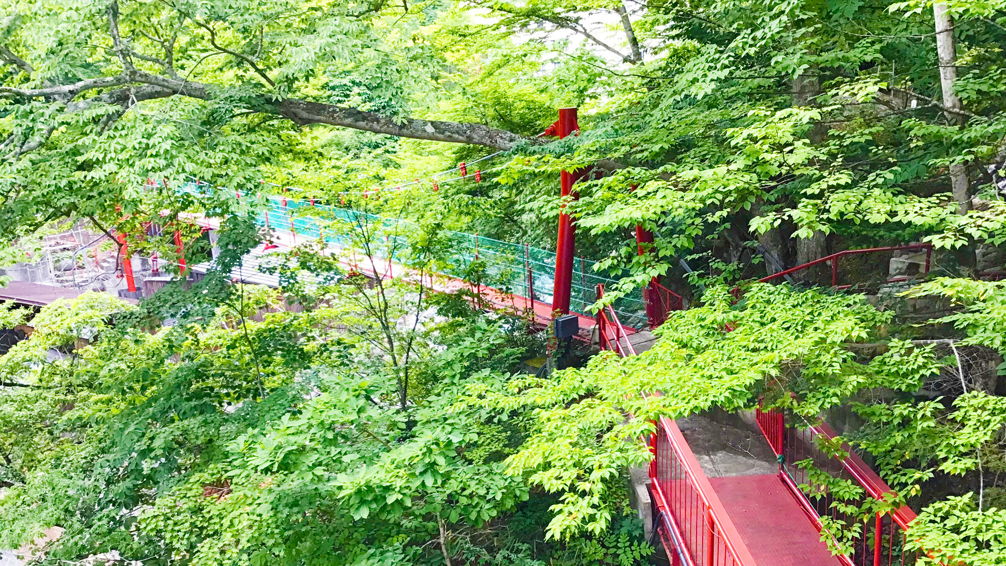 赤い吊り橋　春・夏