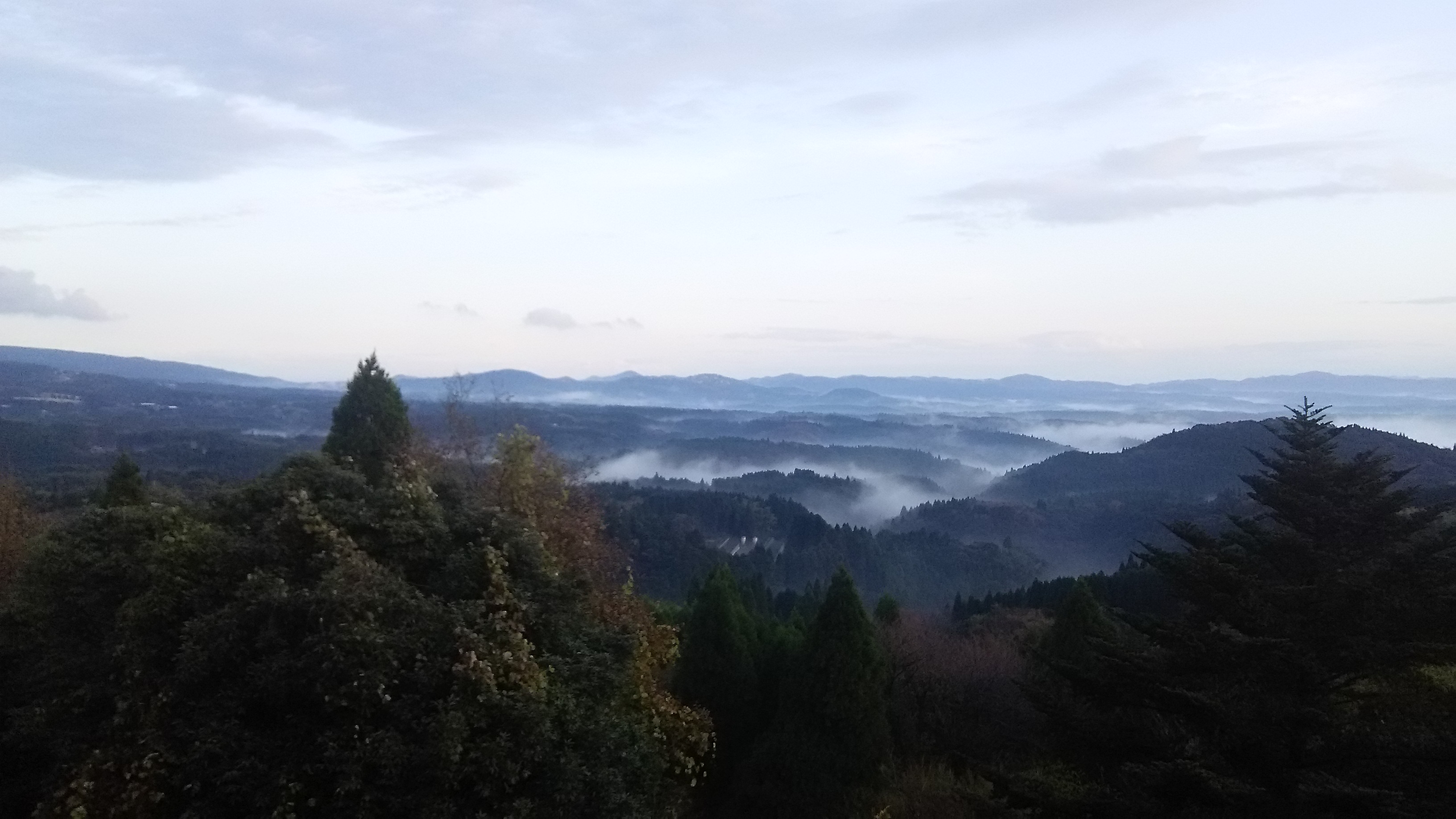 雲海