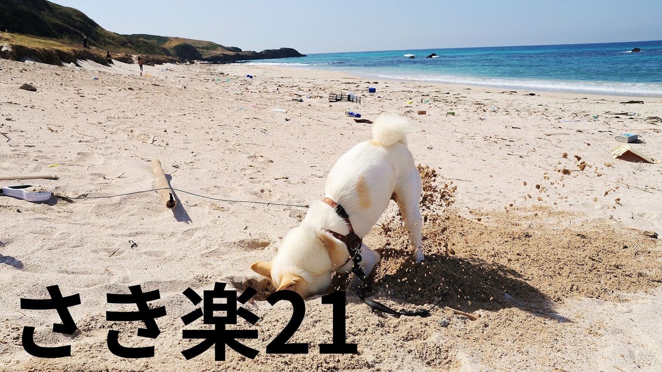 【さき楽28×特選】早めのご予約でお一人様2，200円OFF＆愛犬利用料半額＜■特選コース＞