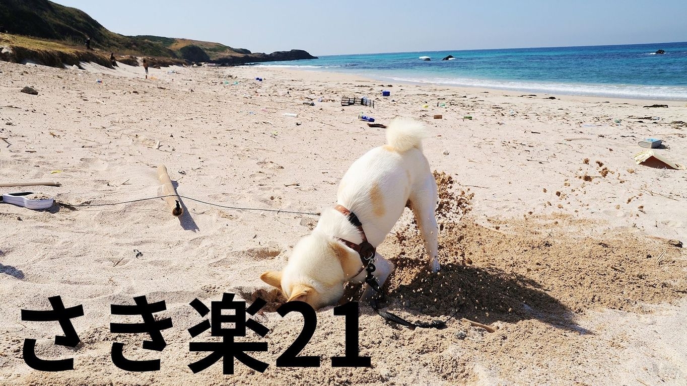 【さき楽28×特選】早めのご予約でお一人様2，200円OFF＆ワンちゃん利用料半額＜■特選コース＞
