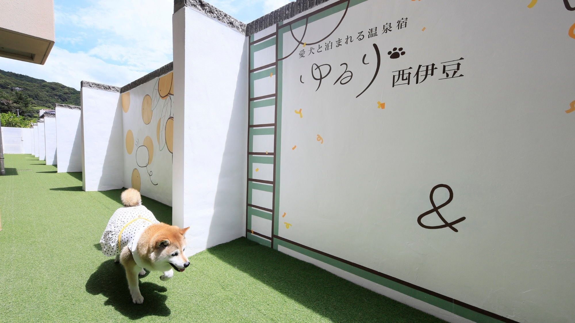 【さき楽28×特選】早めのご予約でお一人様2，200円OFF＆ワンちゃん利用料半額＜■特選コース＞