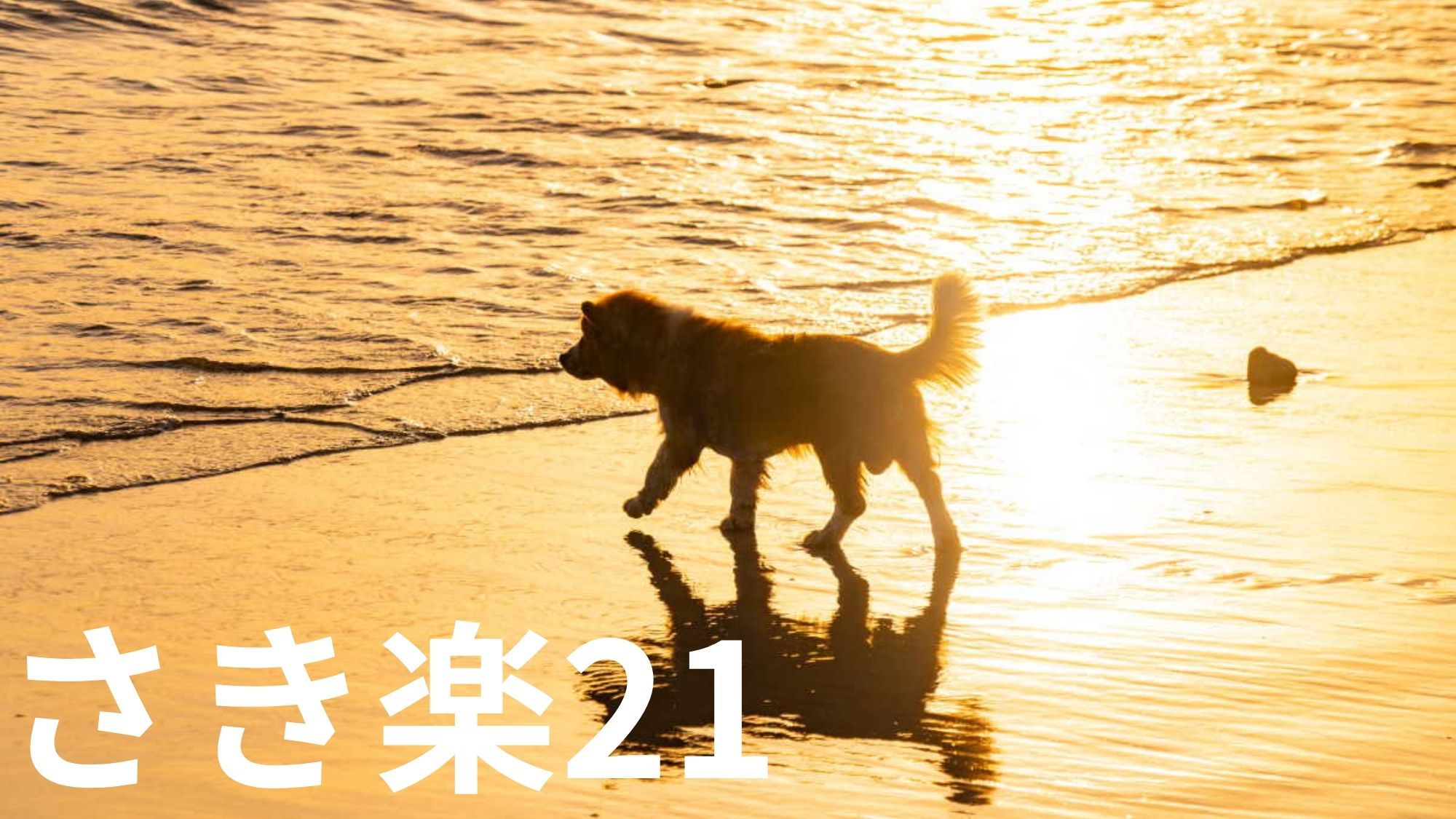 【さき楽28×基本】早めのご予約でお一人様2，200円OFF＆愛犬利用料半額＜★基本コース＞