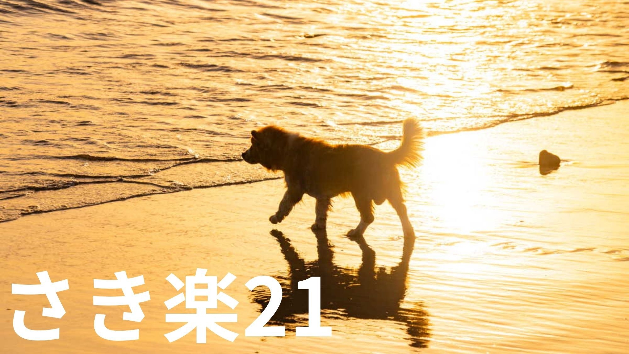【さき楽28×基本】早めのご予約でお一人様2，200円OFF＆ワンちゃん利用料半額＜★基本コース＞