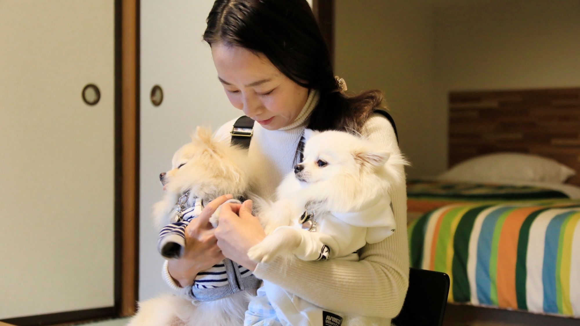 【春旅セール】最大20％OFF／愛犬とゆるり楽しむ、西伊豆の春ごはん＜★基本コース＞