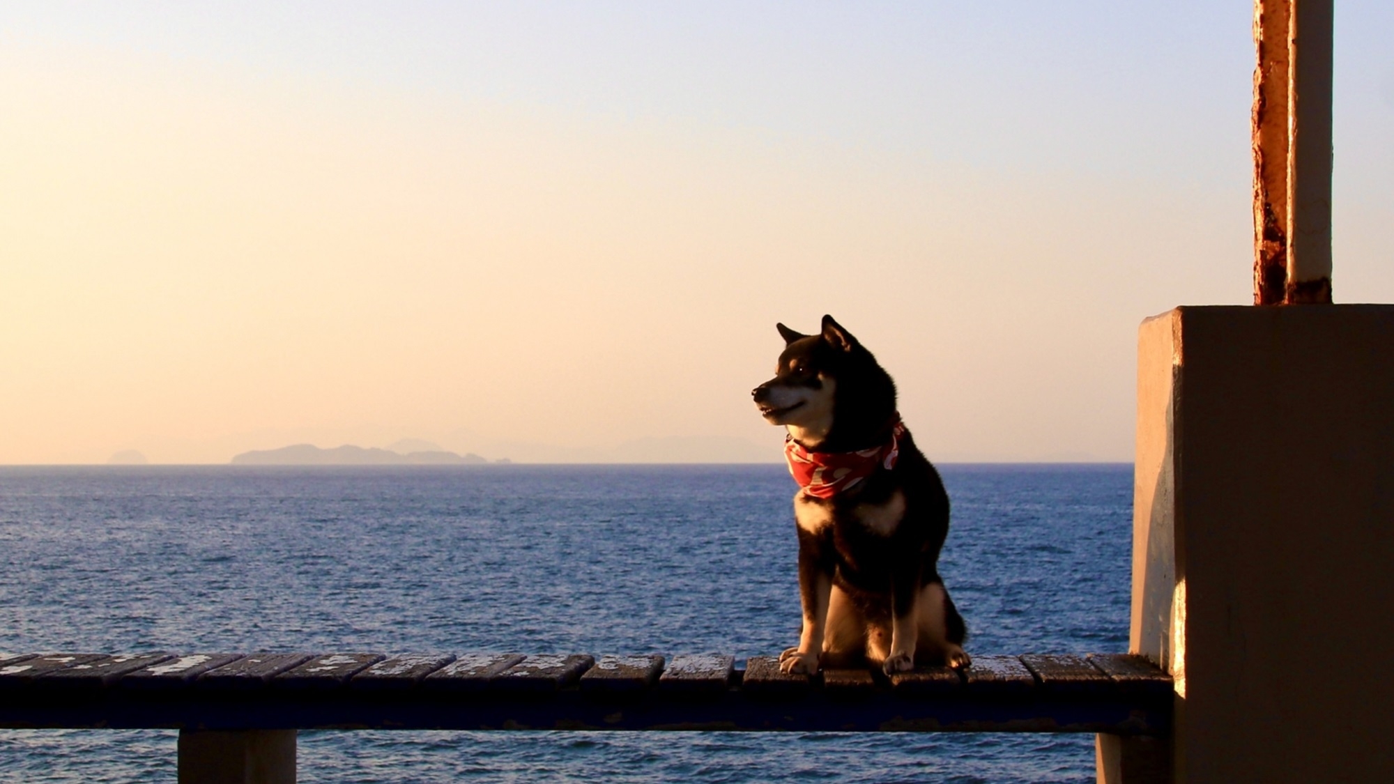 【12/31-1/1限定】ワンちゃんおせち特典付き♪年越しは西伊豆旅を堪能！＜年末年始特別コース※＞