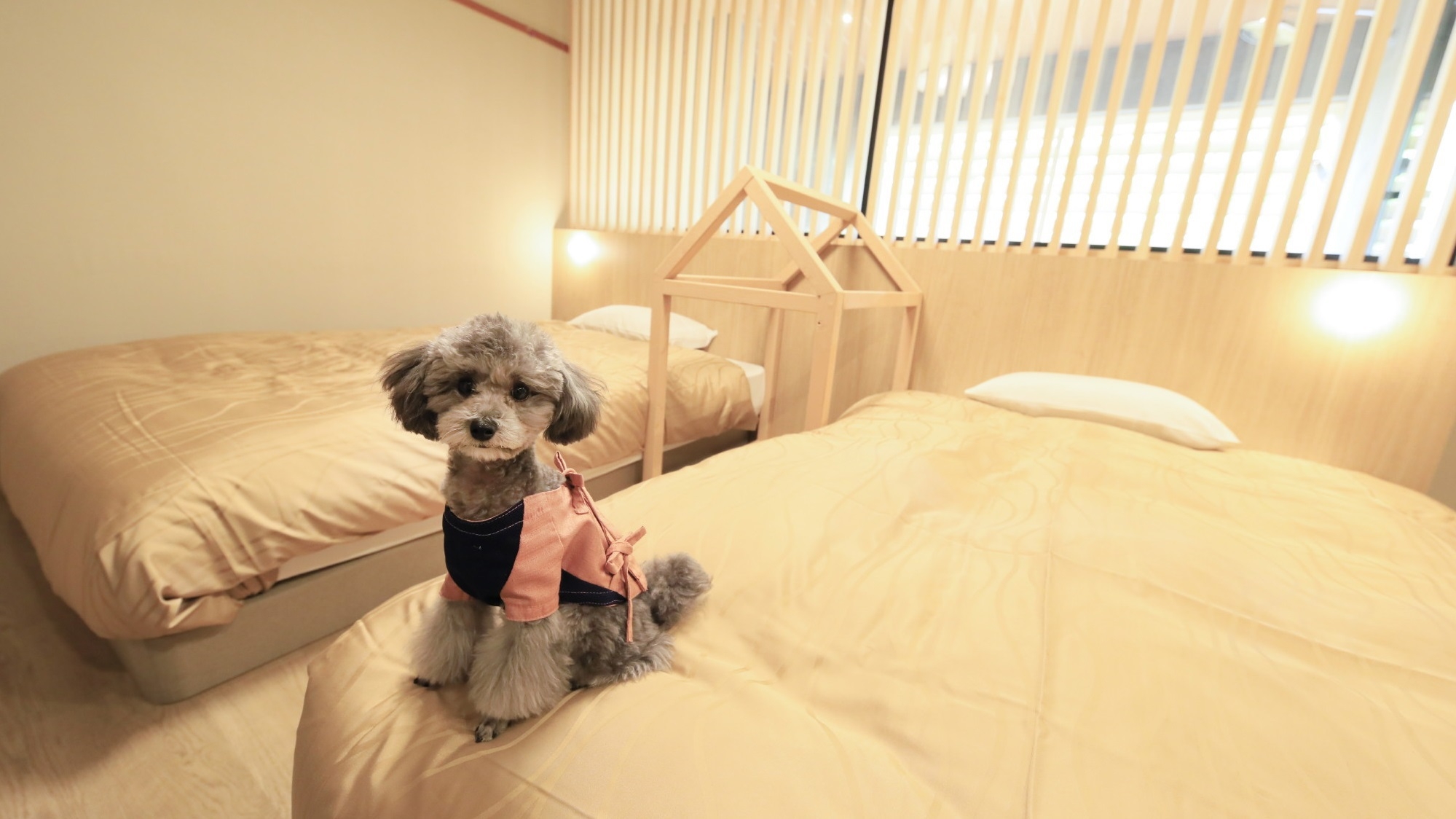 【楽天ブロンズアワード2024受賞記念】お部屋アップグレード＆愛犬用陶板焼き付き♪＜■特選コース＞