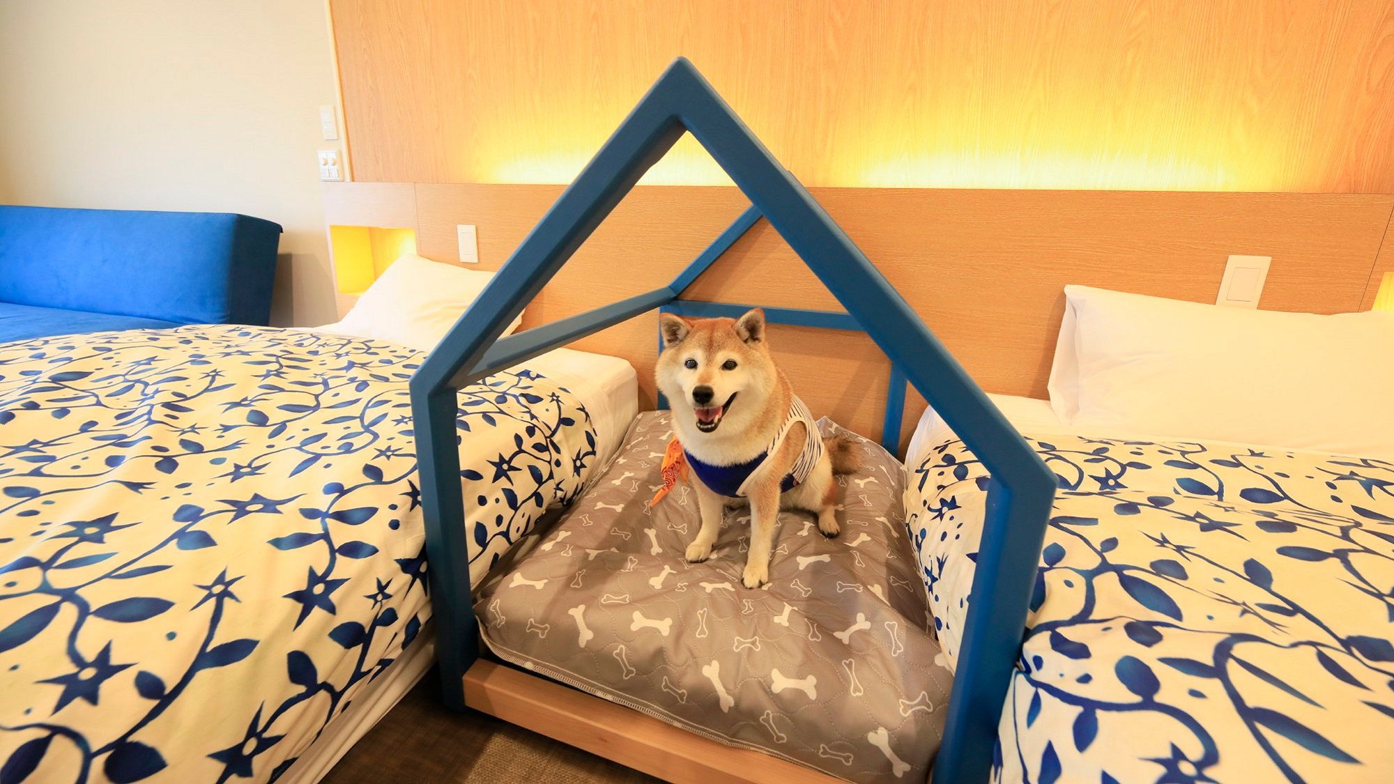 【洋室ツイン限定】愛犬想いのお部屋でゆるりステイ／愛犬利用料無料＜■特選コース＞