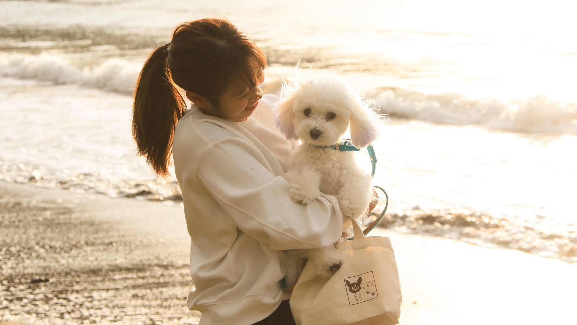 【春旅セール】最大10％OFF／夕陽が自慢の西伊豆で愛犬と過ごす癒しのひととき＜■特選コース＞