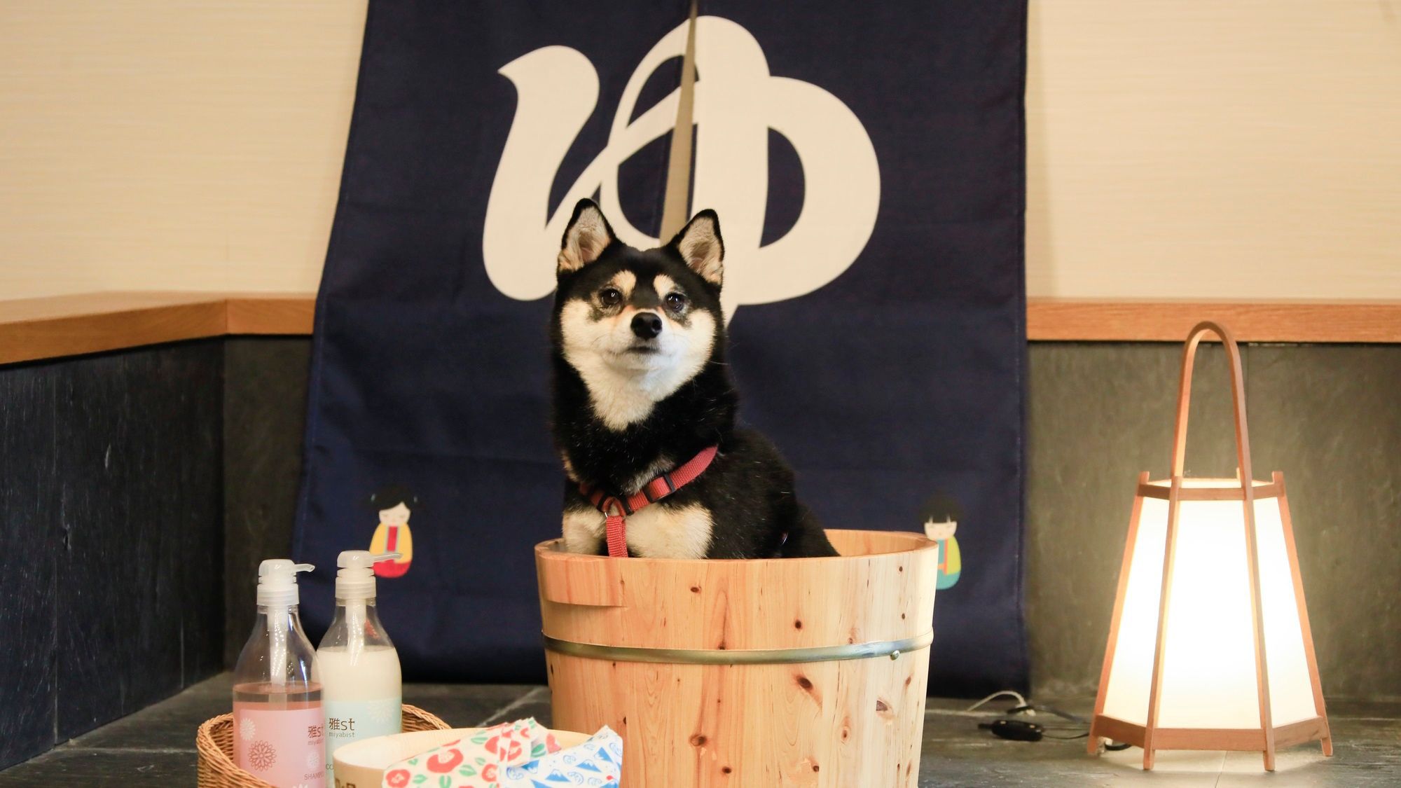 【素泊まり】チェックインは22時まで／愛犬と気ままに楽しむ西伊豆旅＜食事なし＞