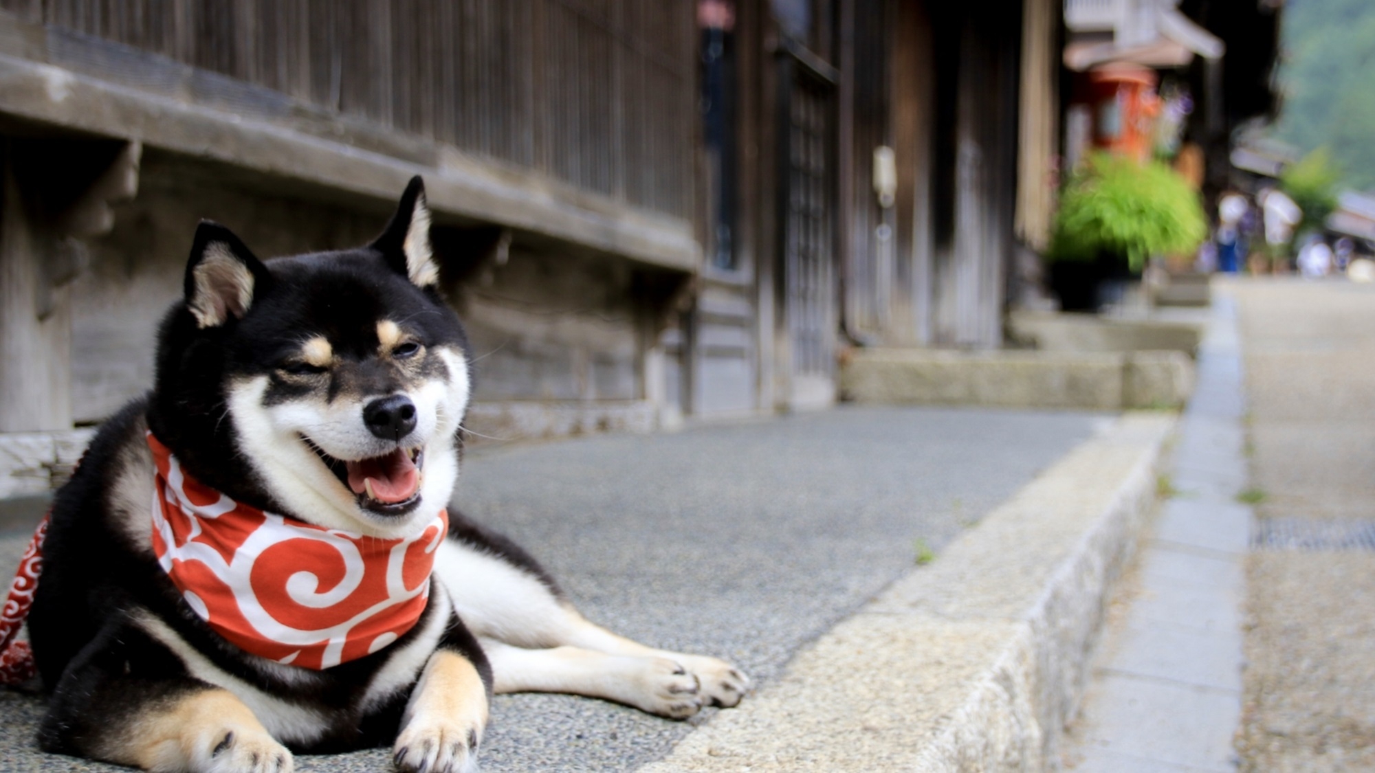 【イチオシ！ゆるり満喫】愛犬利用料無料含む3大特典付き！わんことゆるりステイ♪＜◎最上級コース＞