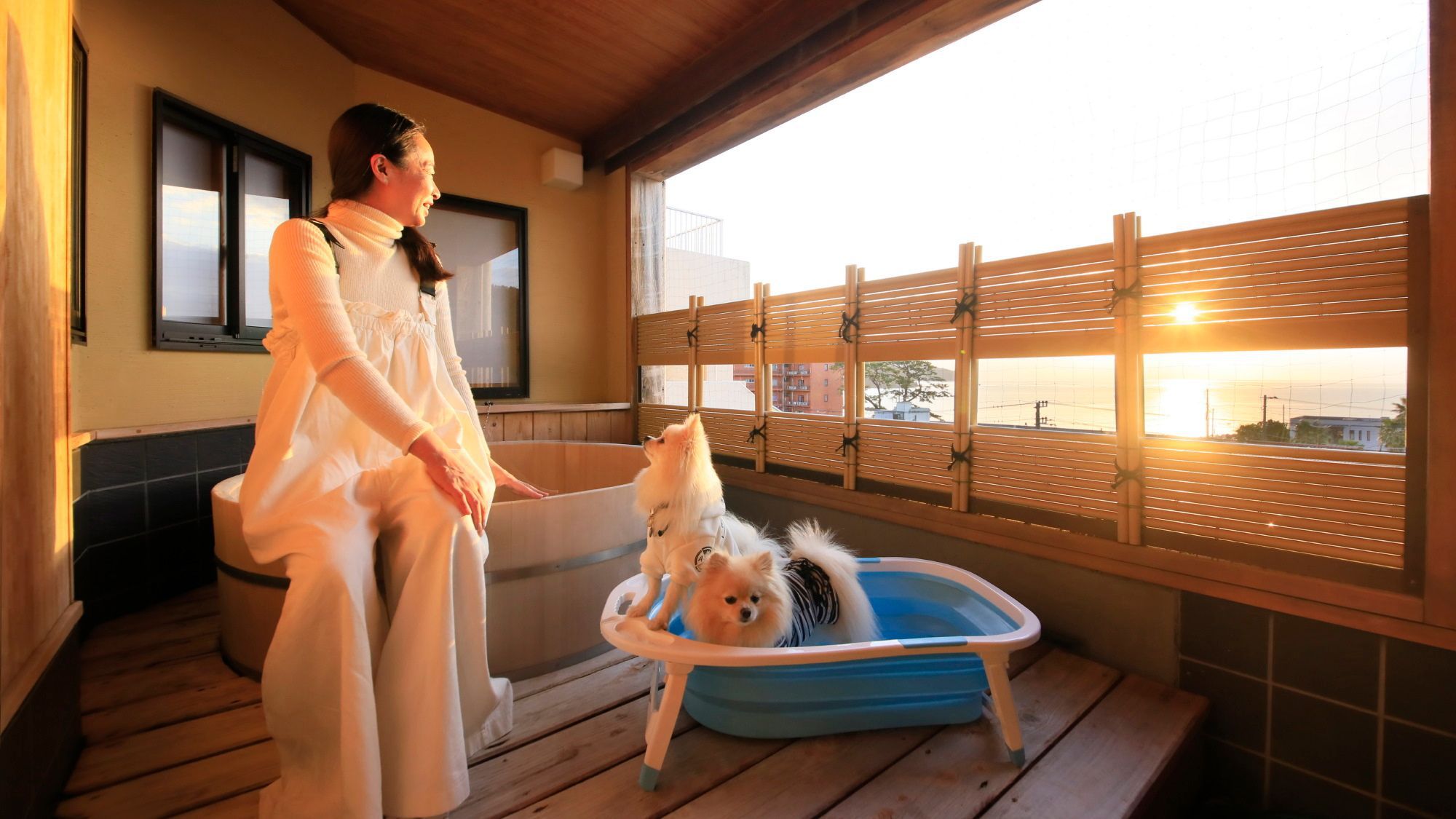 【露天風呂付客室セール】最大20％OFF／駿河湾と夕陽を望む客室でわんことゆるり旅＜■特選コース＞