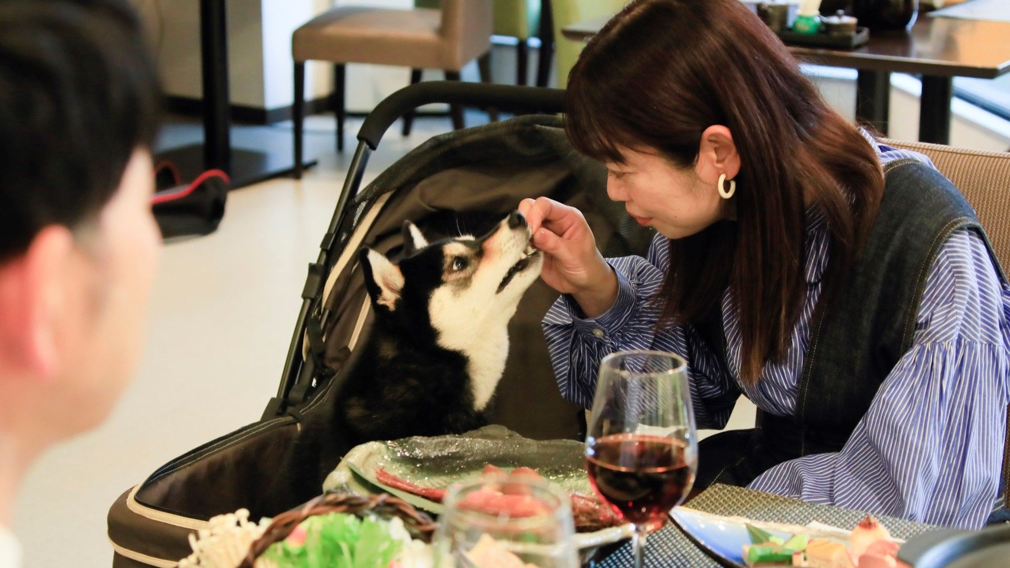 【レストラン】ワンちゃんもご一緒にお食事を楽しめます