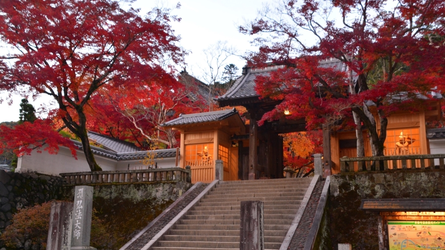 【修善寺】秋は紅葉が見頃を迎えます。夕陽と共にお愉しみください。※当館からお車で約10分